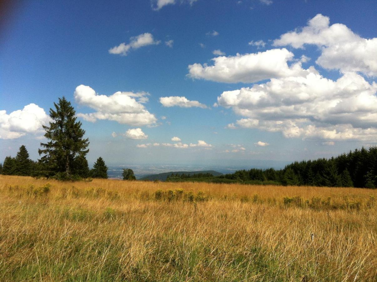 Les Gites De La Serva - Champ Du Feu - Montagnes- Vosges Belmont  Exteriér fotografie